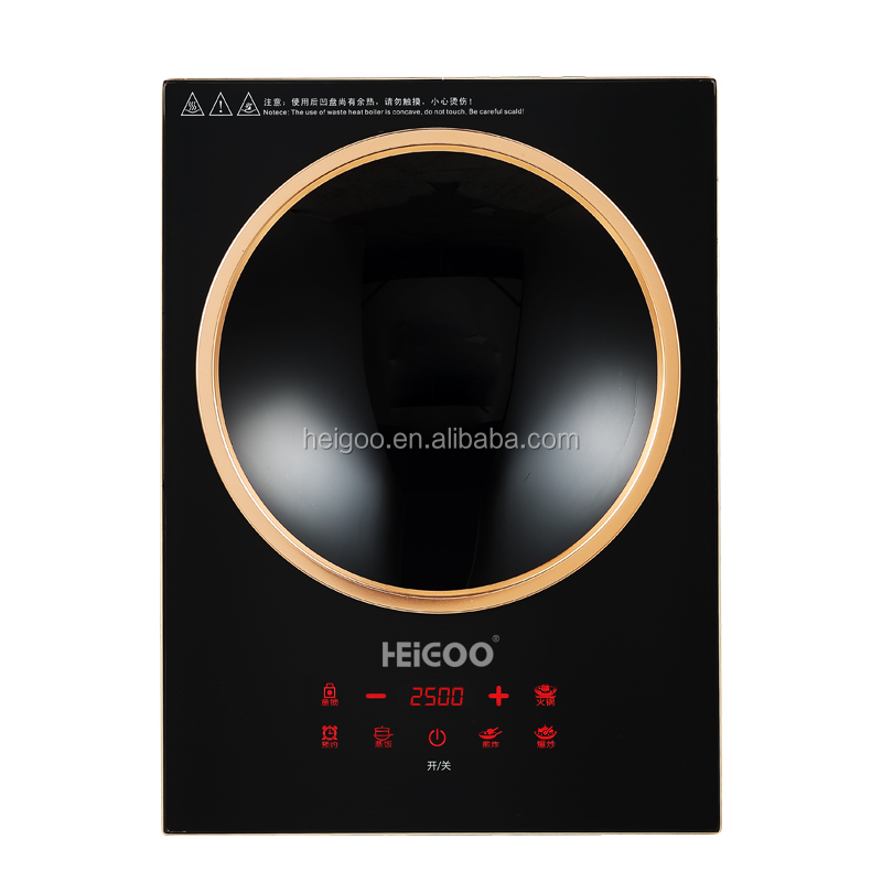 Induction Cooktop Portable - Cuisinière à induction électrique concave intégrée