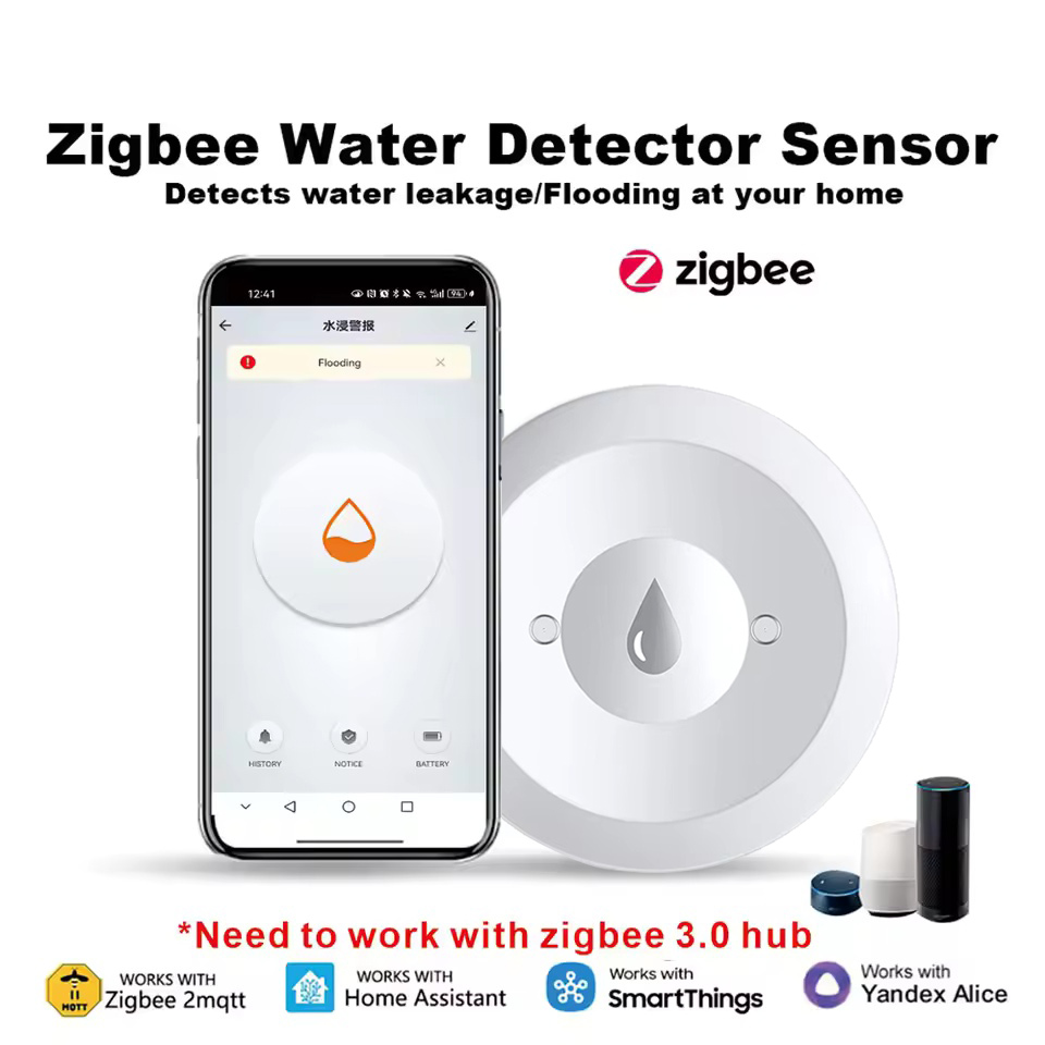 Kitchen Appliances Video - Détecteur de fuite d'eau Zigbee, capteur