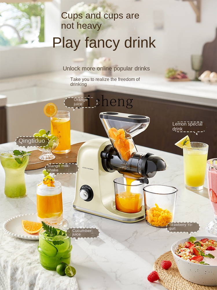 Extracteur de jus à basse vite - Juicer avis et prix