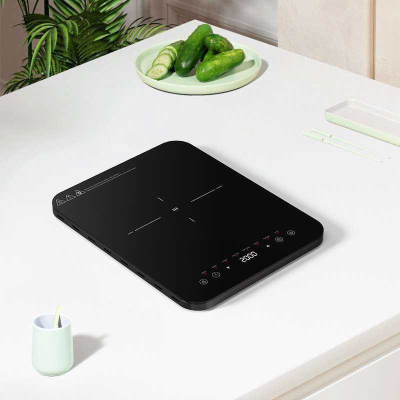 Zones de cuisson à induction à - Induction Cooktop Portable avis et prix