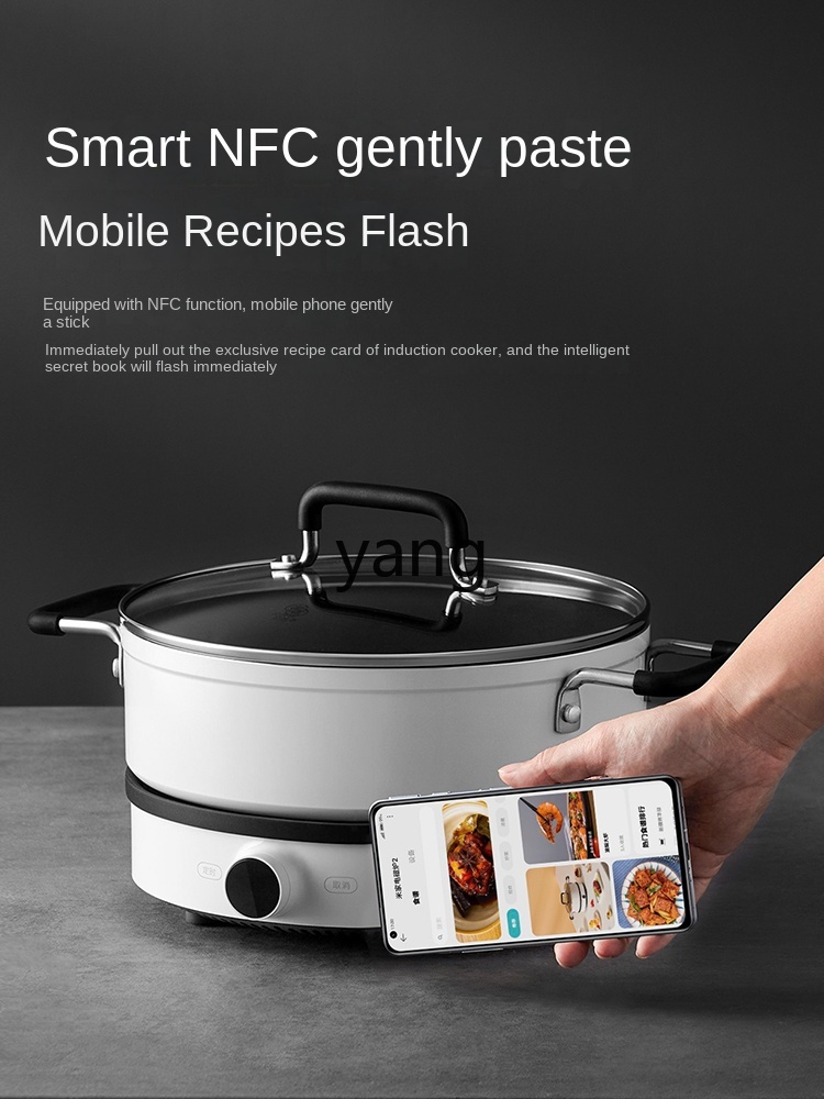 Cuisinière à induction LMM, mu - Induction Cooker avis et prix