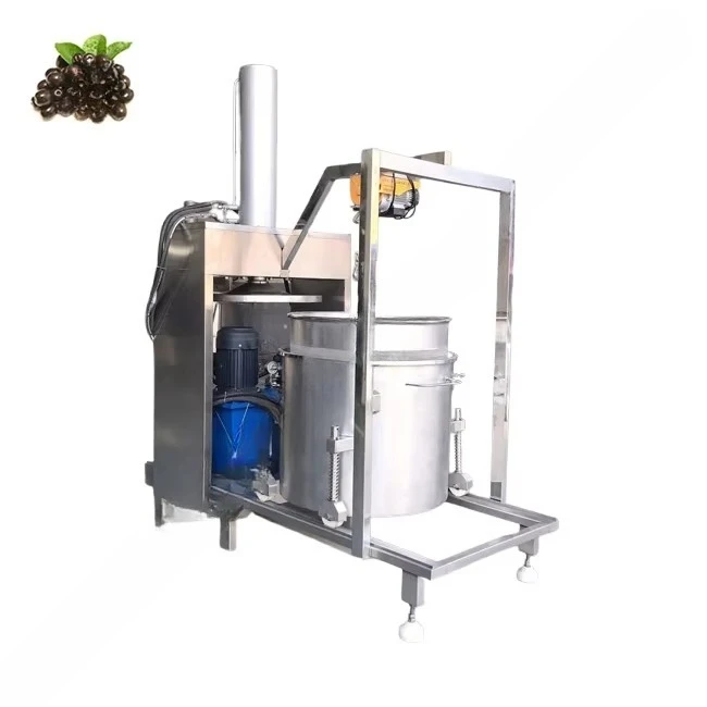 Presse à vin hydraulique indus - Juicer avis et prix