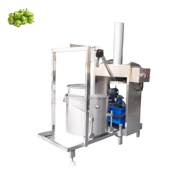 Presse à vin hydraulique indus - Juicer avis et prix