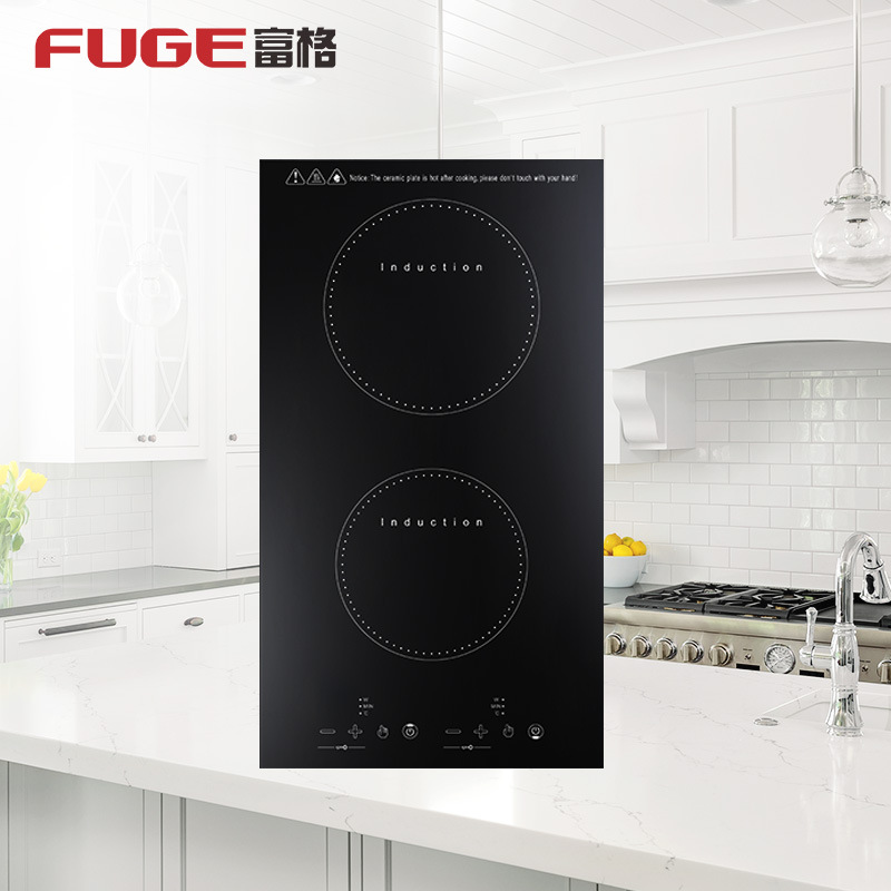 AOLIVIYA Plaque de cuisson à i - Induction Cooktop Portable avis et prix
