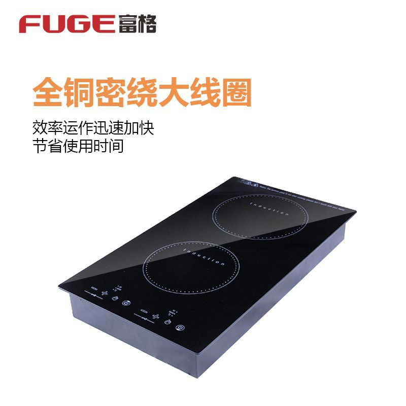 AOLIVIYA Plaque de cuisson à i - Induction Cooktop Portable avis et prix