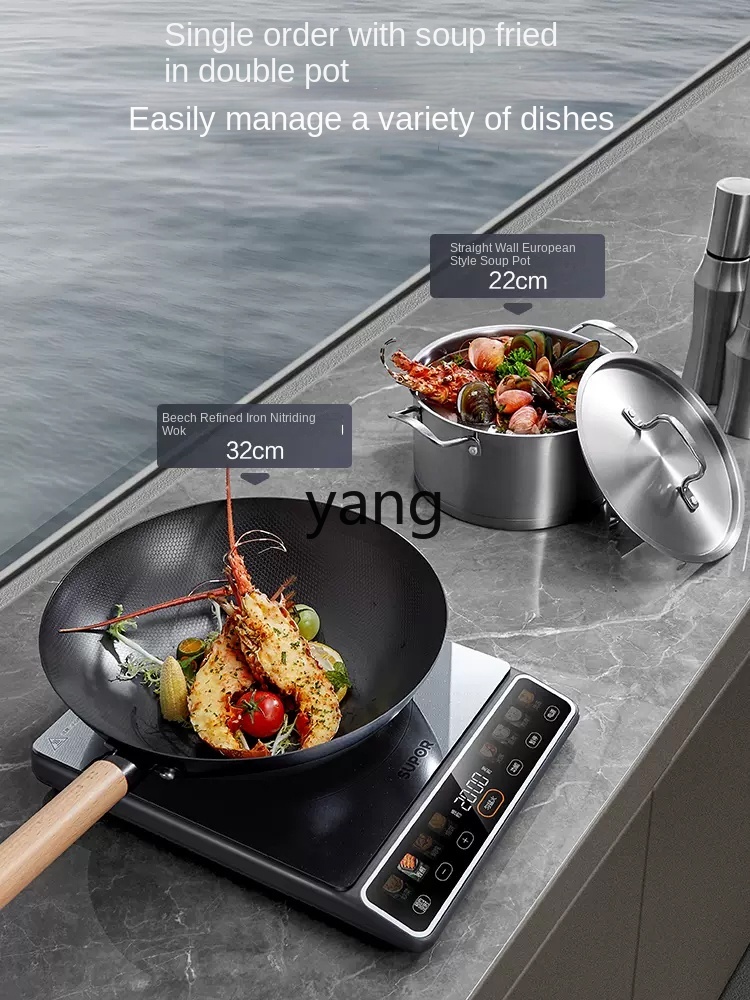 Table de cuisson à induction d - Induction Cooker avis et prix