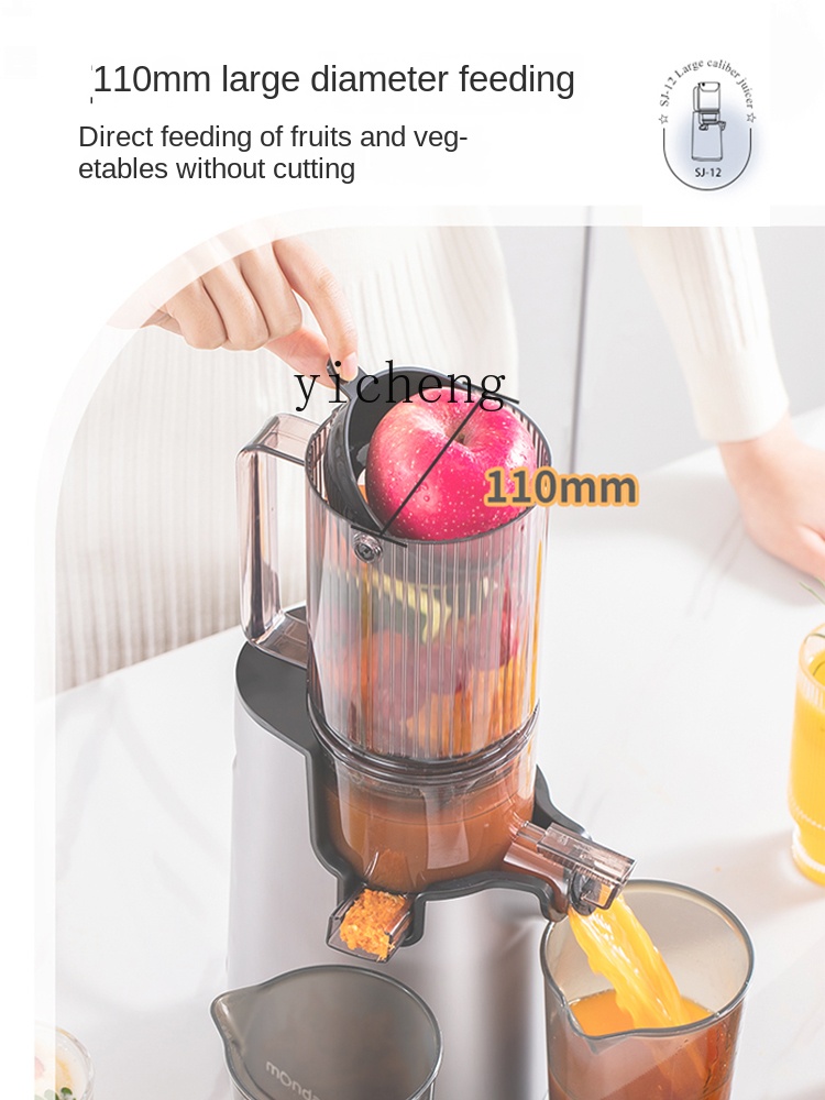 Extracteur de jus automatique  - Juicer avis et prix